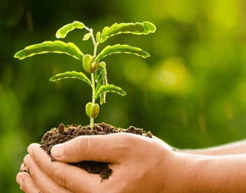  Banner Carbon Capture